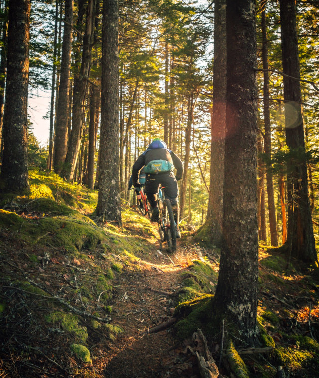 Mężczyzna jadący na rowerze MTB po ścieżce górskiej