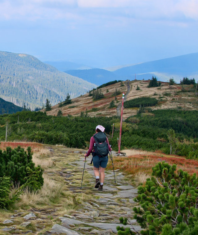 Kobieta idąca szlakie na Babią Górę