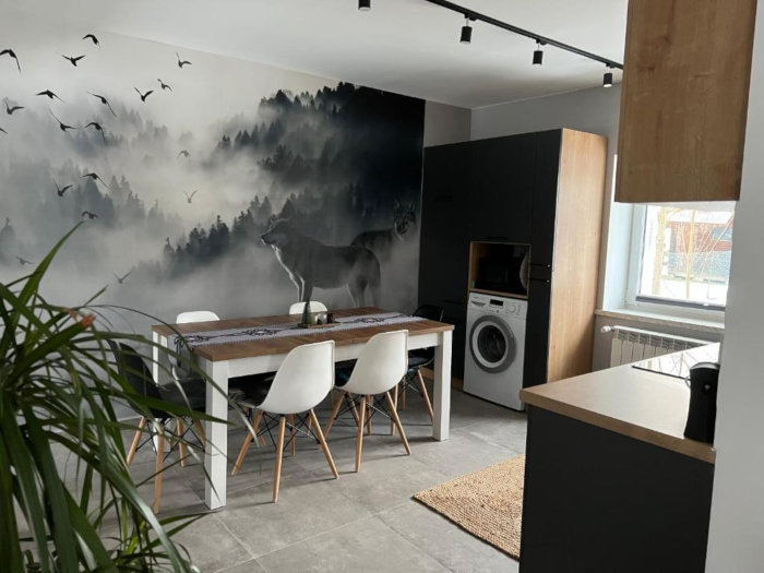 Dom do wynajęcia Dablin 9 zdjęcie z lotu ptaka zimą