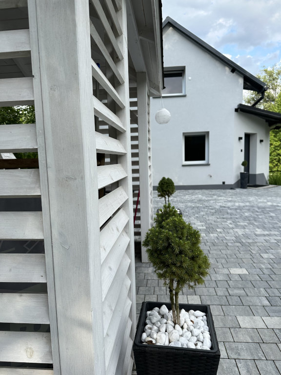 Altana domu do wynajęcia Dablin 9