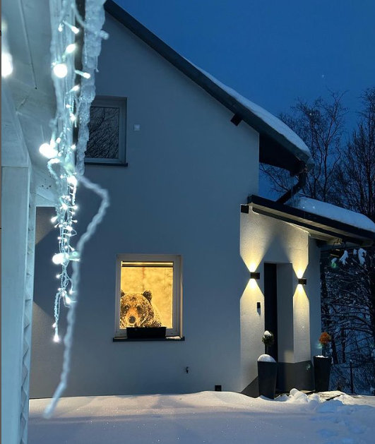 Salon domu do wynajęcia Dablin 9