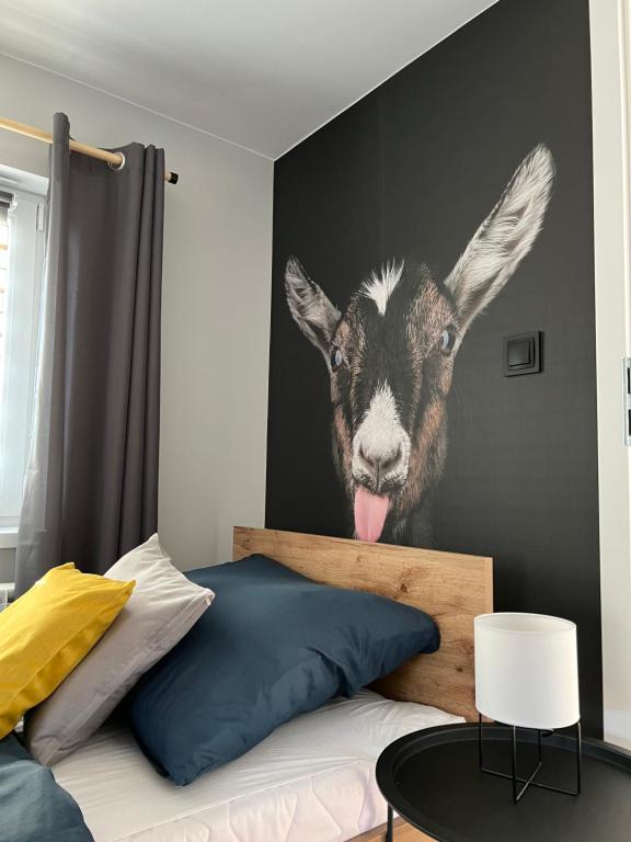 Zdjęcie wnętrza domu Dablin 9